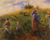 卡米耶 毕沙罗 : Picking Peas